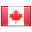 Flag can